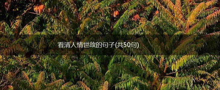 看清人情世故的句子(共50句),第1张