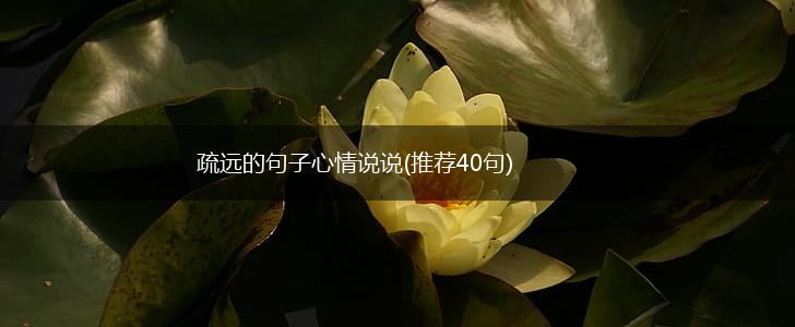 疏远的句子心情说说(推荐40句),第1张