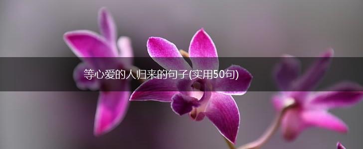 等心爱的人归来的句子(实用50句),第1张