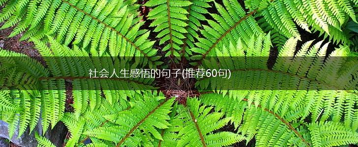 社会人生感悟的句子(推荐60句),第1张