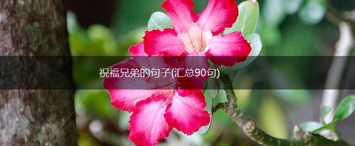 祝福兄弟的句子(汇总90句),第1张