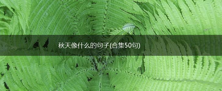 秋天像什么的句子(合集50句),第1张