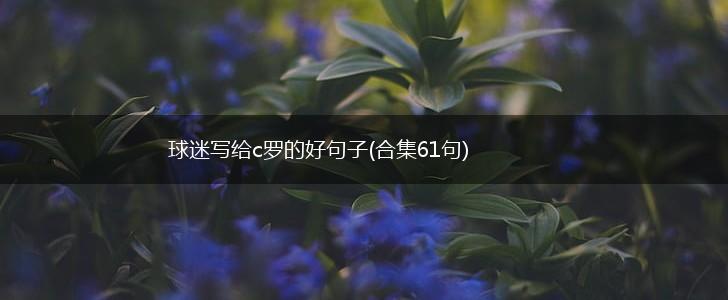 球迷写给c罗的好句子(合集61句),第1张