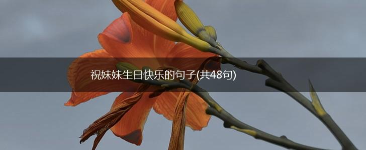 祝妹妹生日快乐的句子(共48句),第1张