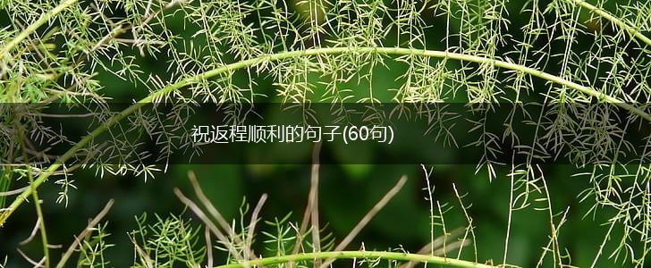 祝返程顺利的句子(60句),第1张