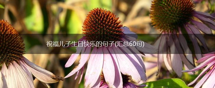 祝福儿子生日快乐的句子(汇总60句),第1张