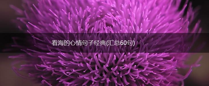 看海的心情句子经典(汇总60句),第1张