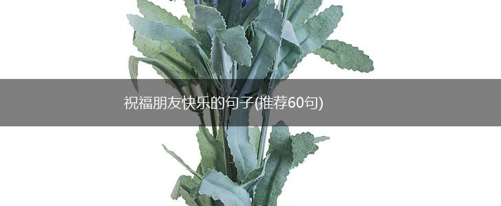 祝福朋友快乐的句子(推荐60句),第1张