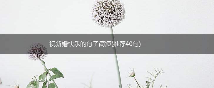 祝新婚快乐的句子简短(推荐40句),第1张