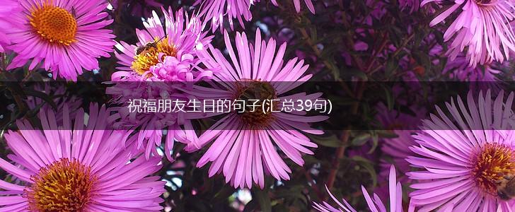 祝福朋友生日的句子(汇总39句),第1张