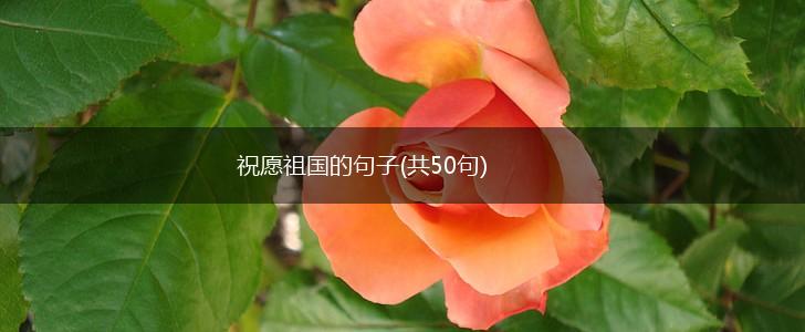 祝愿祖国的句子(共50句),第1张