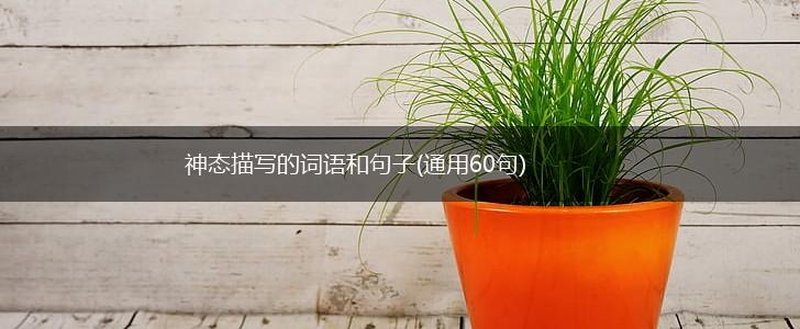 神态描写的词语和句子(通用60句),第1张