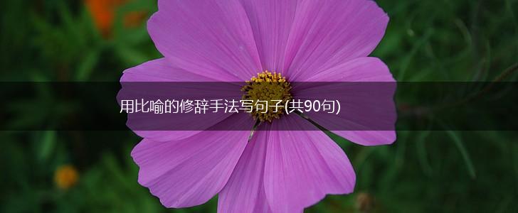 用比喻的修辞手法写句子(共90句),第1张