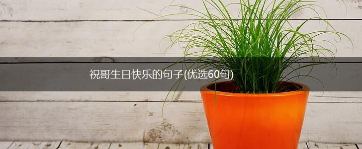 祝哥生日快乐的句子(优选60句),第1张