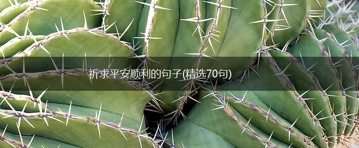 祈求平安顺利的句子(精选70句),第1张