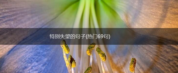 特别失望的句子(热门69句),第1张
