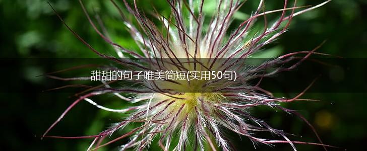 甜甜的句子唯美简短(实用50句),第1张