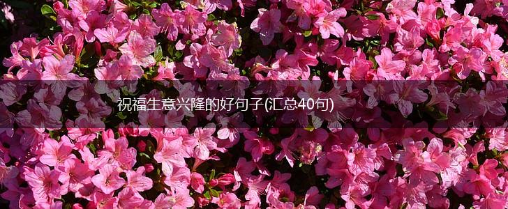 祝福生意兴隆的好句子(汇总40句),第1张