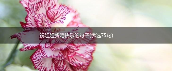 祝姐姐新婚快乐的句子(优选75句),第1张