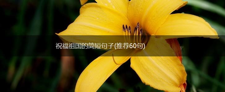 祝福祖国的简短句子(推荐60句),第1张