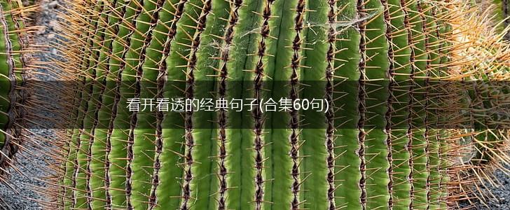 看开看透的经典句子(合集60句),第1张 看开看透的经典句子(合集60句),第1张