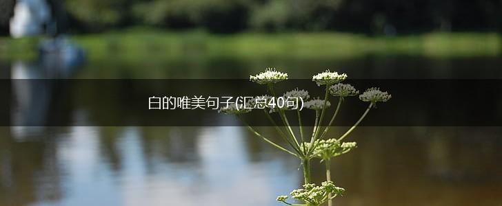 白的唯美句子(汇总40句),第1张