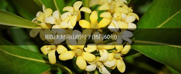 祖国大好河山的句子(热门60句),第1张