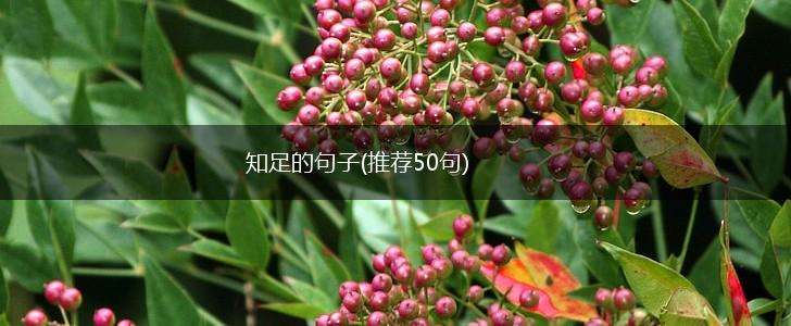 知足的句子(推荐50句),第1张