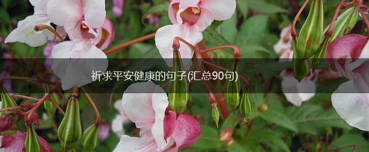 祈求平安健康的句子(汇总90句),第1张