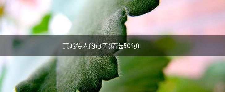 真诚待人的句子(精选50句),第1张