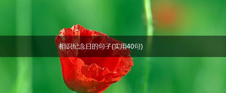 相识纪念日的句子(实用40句),第1张