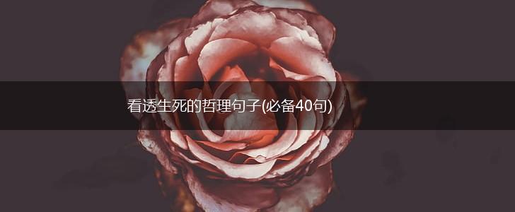 看透生死的哲理句子(必备40句),第1张
