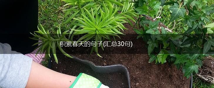 积累春天的句子(汇总30句),第1张