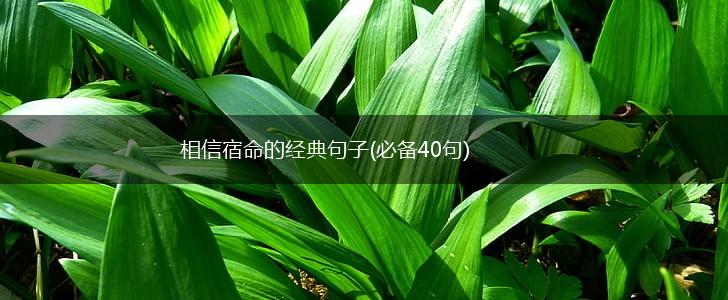 相信宿命的经典句子(必备40句),第1张