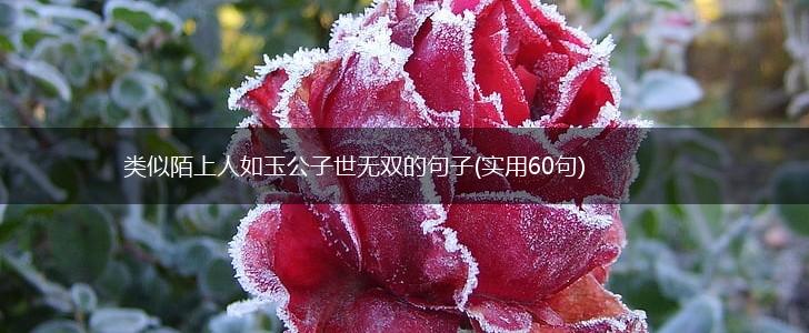 类似陌上人如玉公子世无双的句子(实用60句),第1张