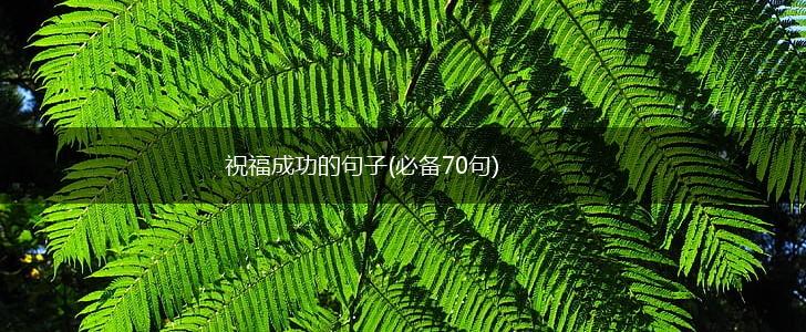 祝福成功的句子(必备70句),第1张