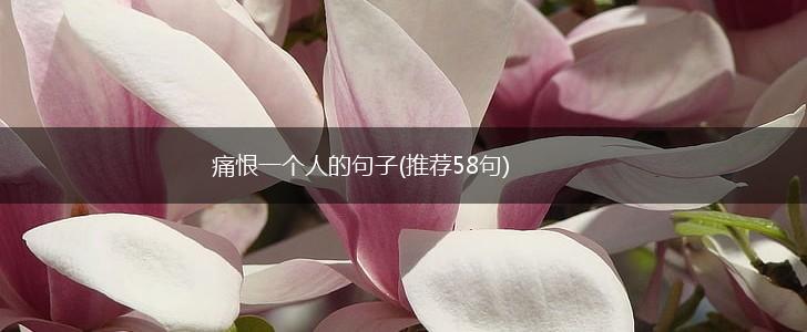 痛恨一个人的句子(推荐58句),第1张