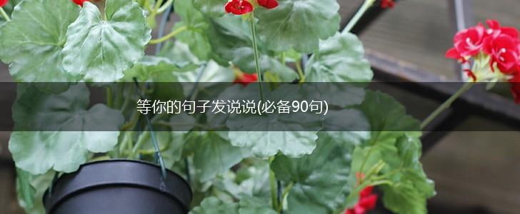 等你的句子发说说(必备90句),第1张