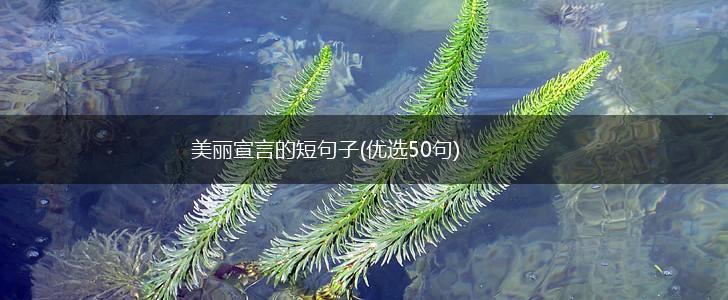美丽宣言的短句子(优选50句),第1张 美丽宣言的短句子(优选50句),第1张