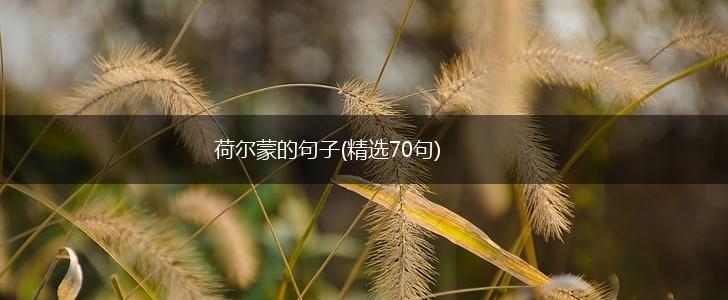 荷尔蒙的句子(精选70句),第1张