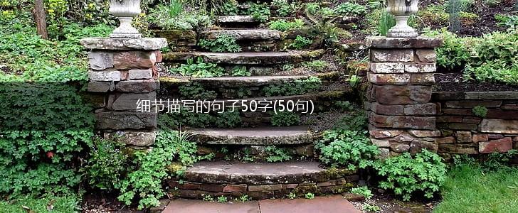 细节描写的句子50字(50句),第1张