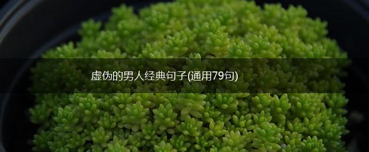 虚伪的男人经典句子(通用79句),第1张