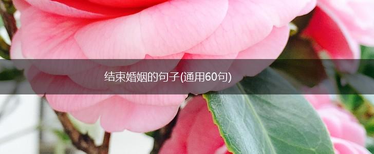 结束婚姻的句子(通用60句),第1张