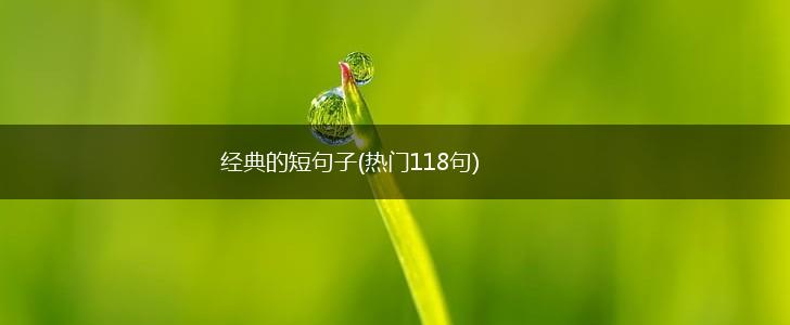 经典的短句子(热门118句),第1张