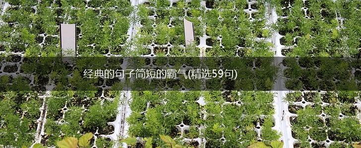 经典的句子简短的霸气(精选59句),第1张