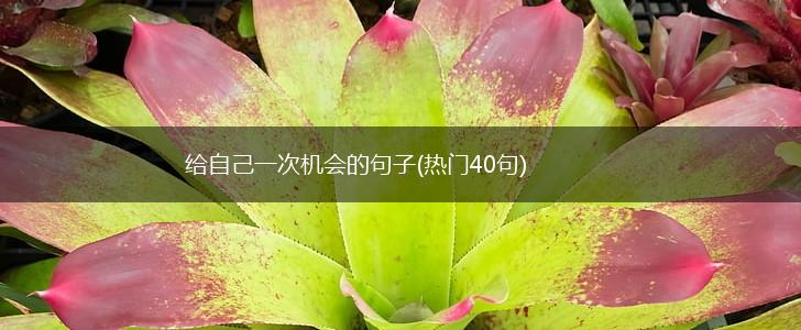 给自己一次机会的句子(热门40句),第1张 给自己一次机会的句子(热门40句),第1张