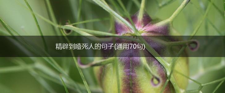 精辟到噎死人的句子(通用70句),第1张