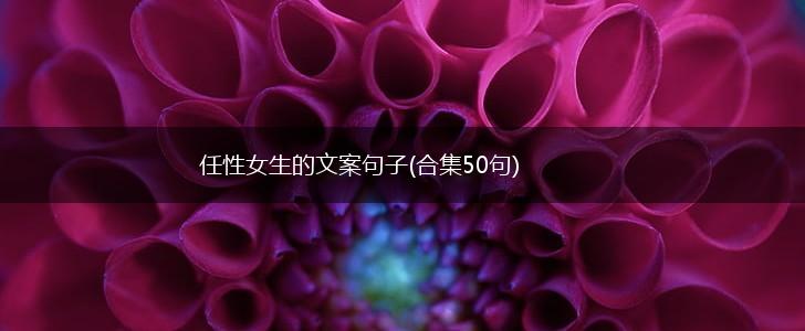 任性女生的文案句子(合集50句),第1张