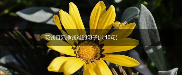 花钱容易挣钱难的句子(共40句),第1张