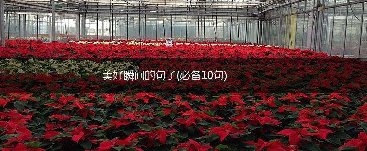 美好瞬间的句子(必备10句),第1张